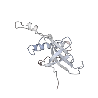10623_6xu7_CZ_v1-2
Drosophila melanogaster Testis polysome ribosome