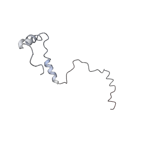 10623_6xu7_Cb_v1-2
Drosophila melanogaster Testis polysome ribosome