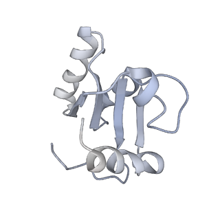 10623_6xu7_Cc_v1-2
Drosophila melanogaster Testis polysome ribosome