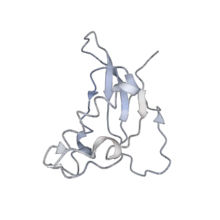 10623_6xu7_Cd_v1-2
Drosophila melanogaster Testis polysome ribosome