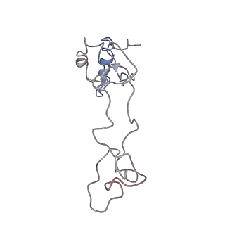 10623_6xu7_Ce_v1-2
Drosophila melanogaster Testis polysome ribosome