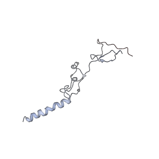 10623_6xu7_Cg_v1-2
Drosophila melanogaster Testis polysome ribosome