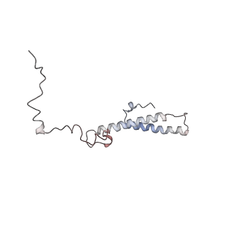10623_6xu7_Ch_v1-2
Drosophila melanogaster Testis polysome ribosome