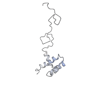 10623_6xu7_Ci_v1-2
Drosophila melanogaster Testis polysome ribosome