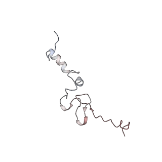 10623_6xu7_Cj_v1-2
Drosophila melanogaster Testis polysome ribosome