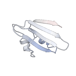 10623_6xu7_Ck_v1-2
Drosophila melanogaster Testis polysome ribosome