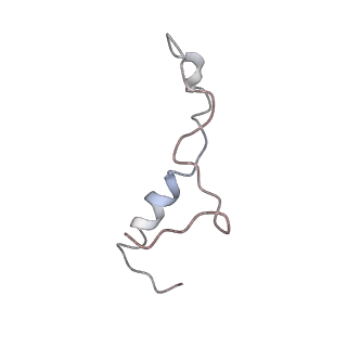 10623_6xu7_Cl_v1-2
Drosophila melanogaster Testis polysome ribosome
