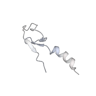 10623_6xu7_Cm_v1-2
Drosophila melanogaster Testis polysome ribosome