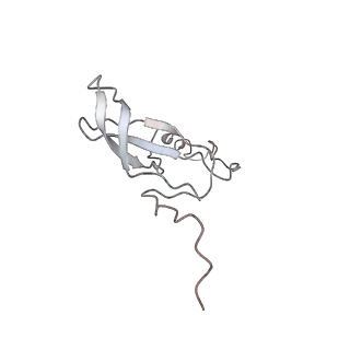 10623_6xu7_Co_v1-2
Drosophila melanogaster Testis polysome ribosome