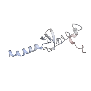 10623_6xu7_Cp_v1-2
Drosophila melanogaster Testis polysome ribosome