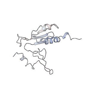 10623_6xu7_Cr_v1-2
Drosophila melanogaster Testis polysome ribosome