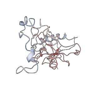 10623_6xu7_Cz_v1-2
Drosophila melanogaster Testis polysome ribosome