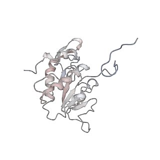 10624_6xu8_AA_v1-2
Drosophila melanogaster Ovary 80S ribosome