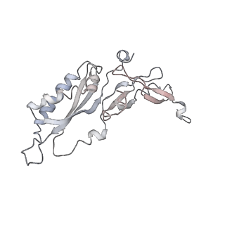 10624_6xu8_AB_v1-2
Drosophila melanogaster Ovary 80S ribosome