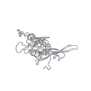 10624_6xu8_AC_v1-2
Drosophila melanogaster Ovary 80S ribosome