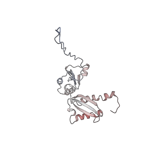 10624_6xu8_AD_v1-2
Drosophila melanogaster Ovary 80S ribosome