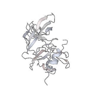10624_6xu8_AE_v1-2
Drosophila melanogaster Ovary 80S ribosome