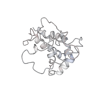 10624_6xu8_AF_v1-2
Drosophila melanogaster Ovary 80S ribosome