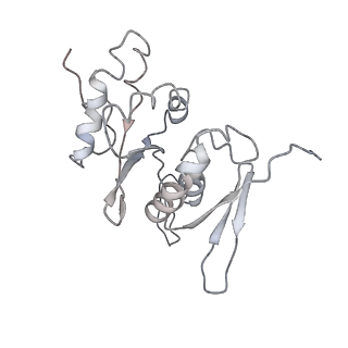 10624_6xu8_AH_v1-2
Drosophila melanogaster Ovary 80S ribosome