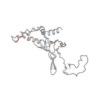 10624_6xu8_AI_v1-2
Drosophila melanogaster Ovary 80S ribosome