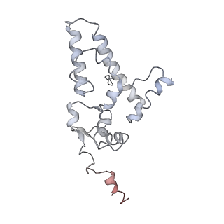 10624_6xu8_AJ_v1-2
Drosophila melanogaster Ovary 80S ribosome