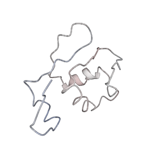 10624_6xu8_AK_v1-2
Drosophila melanogaster Ovary 80S ribosome