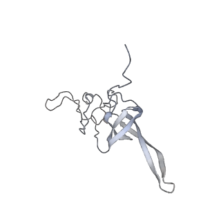 10624_6xu8_AL_v1-2
Drosophila melanogaster Ovary 80S ribosome