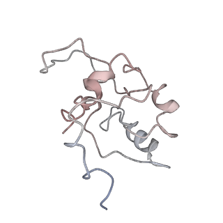 10624_6xu8_AM_v1-2
Drosophila melanogaster Ovary 80S ribosome