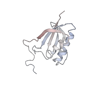 10624_6xu8_AO_v1-2
Drosophila melanogaster Ovary 80S ribosome