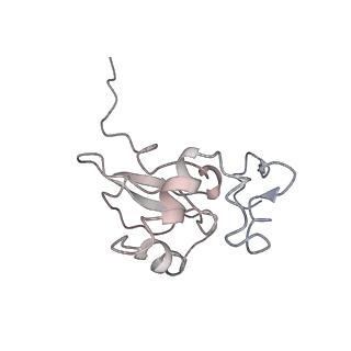 10624_6xu8_AP_v1-2
Drosophila melanogaster Ovary 80S ribosome