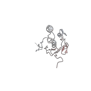 10624_6xu8_AQ_v1-2
Drosophila melanogaster Ovary 80S ribosome