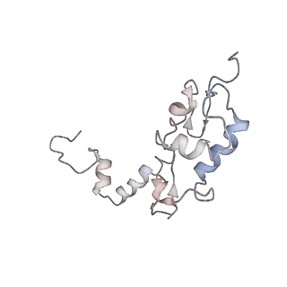 10624_6xu8_AS_v1-2
Drosophila melanogaster Ovary 80S ribosome