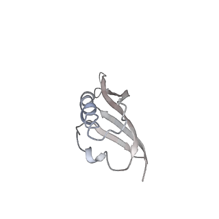 10624_6xu8_AU_v1-2
Drosophila melanogaster Ovary 80S ribosome
