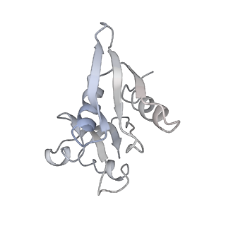 10624_6xu8_AW_v1-2
Drosophila melanogaster Ovary 80S ribosome