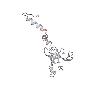 10624_6xu8_AX_v1-2
Drosophila melanogaster Ovary 80S ribosome