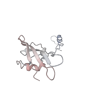 10624_6xu8_AY_v1-2
Drosophila melanogaster Ovary 80S ribosome