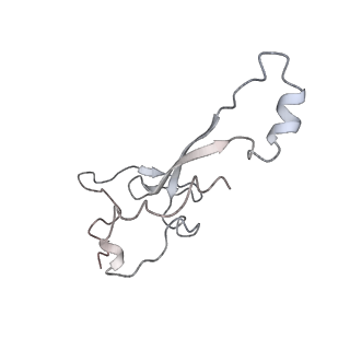 10624_6xu8_Aa_v1-2
Drosophila melanogaster Ovary 80S ribosome