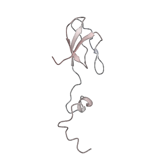 10624_6xu8_Ab_v1-2
Drosophila melanogaster Ovary 80S ribosome