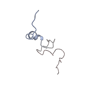 10624_6xu8_Ad_v1-2
Drosophila melanogaster Ovary 80S ribosome