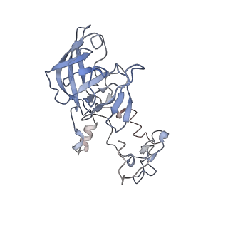 10624_6xu8_CA_v1-2
Drosophila melanogaster Ovary 80S ribosome