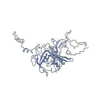 10624_6xu8_CB_v1-2
Drosophila melanogaster Ovary 80S ribosome