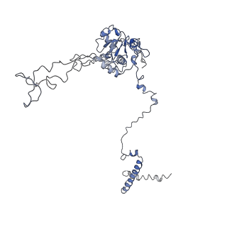 10624_6xu8_CC_v1-2
Drosophila melanogaster Ovary 80S ribosome