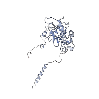 10624_6xu8_CD_v1-2
Drosophila melanogaster Ovary 80S ribosome