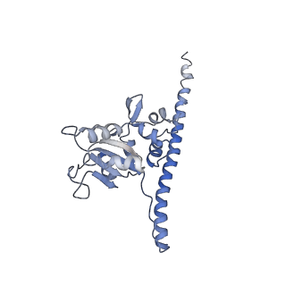 10624_6xu8_CF_v1-2
Drosophila melanogaster Ovary 80S ribosome