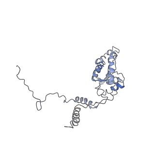 10624_6xu8_CG_v1-2
Drosophila melanogaster Ovary 80S ribosome