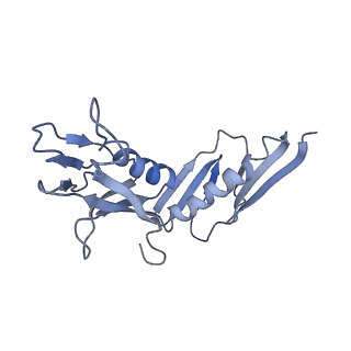 10624_6xu8_CH_v1-2
Drosophila melanogaster Ovary 80S ribosome