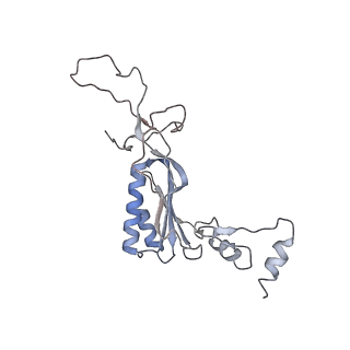 10624_6xu8_CI_v1-2
Drosophila melanogaster Ovary 80S ribosome