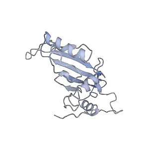 10624_6xu8_CJ_v1-2
Drosophila melanogaster Ovary 80S ribosome