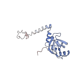 10624_6xu8_CM_v1-2
Drosophila melanogaster Ovary 80S ribosome