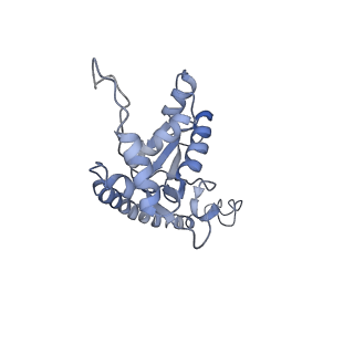 10624_6xu8_CO_v1-2
Drosophila melanogaster Ovary 80S ribosome
